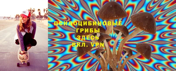 дживик Вязьма